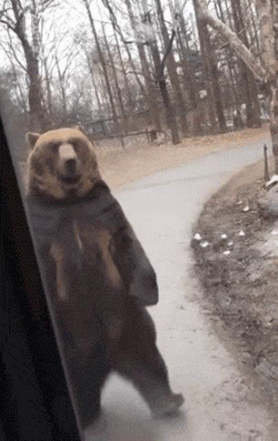 Just walking by