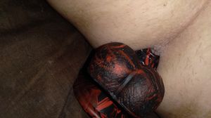 New toy fits perfect!