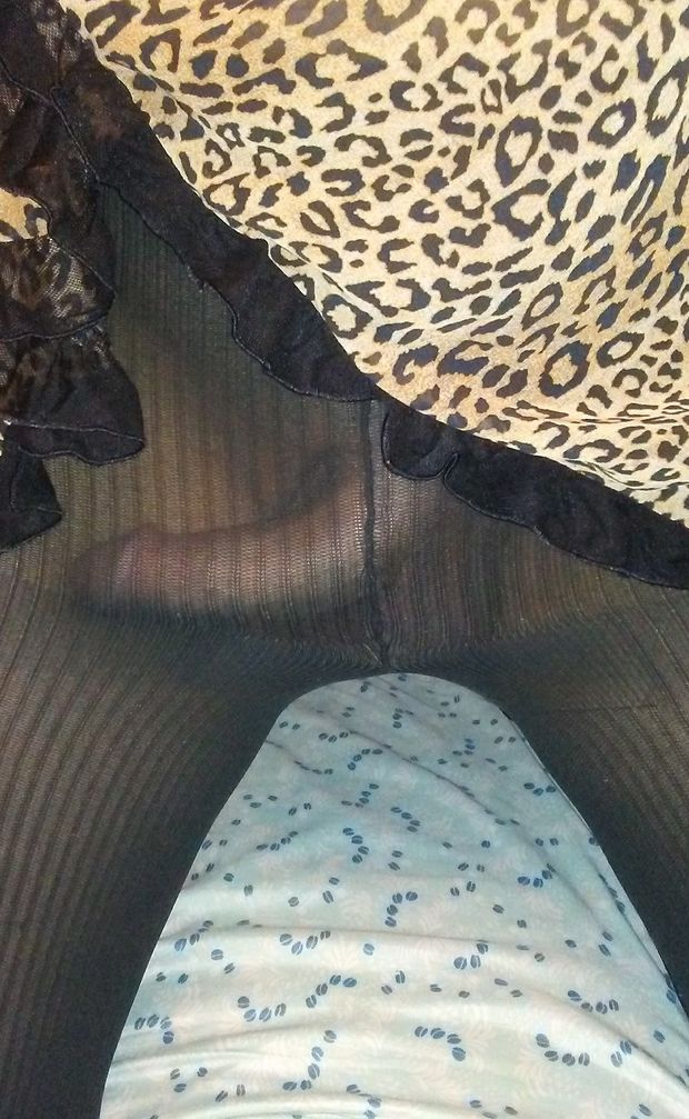 Who wants to suck my sissy cock?