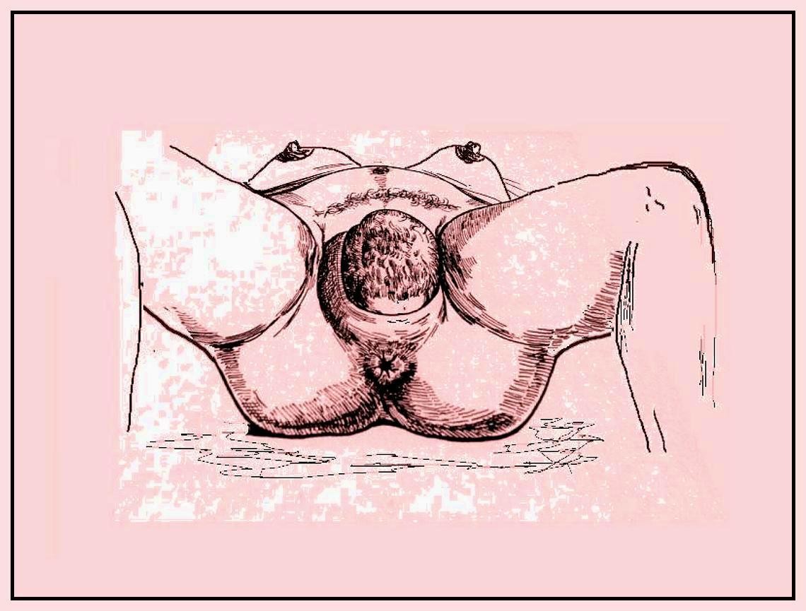 artwork I did to illustrate a book on pregnancy and birth care ...