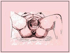 artwork I did to illustrate a book on pregnancy and birth care ...