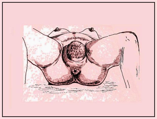 artwork I did to illustrate a book on pregnancy and birth care ...