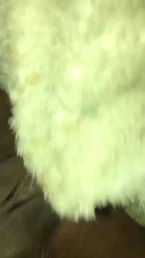 My black slave fucking her cunt with a banana