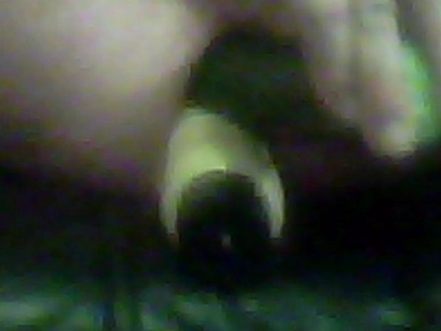 Dildo and cumcumber in my asshole