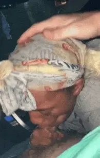 ebony gifs