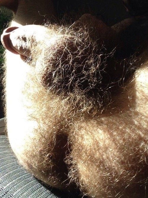 Hairy hairy ass, cock + balls