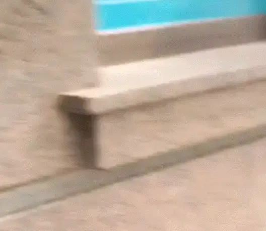 Sudden piss on street