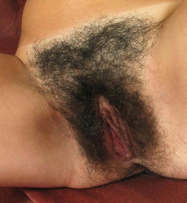Hairy clam