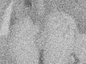 Creampie Leaking from her ass