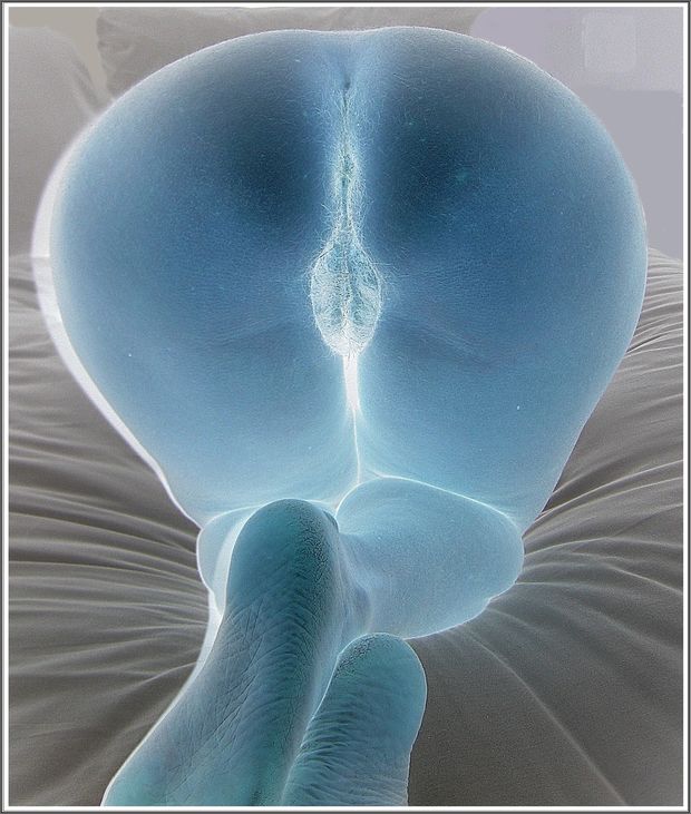 Pussy in blue