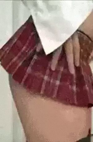 Plaid Skirt