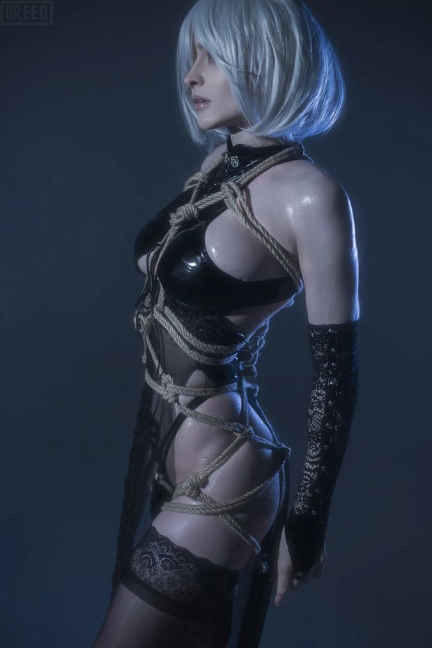 nier