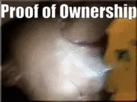 Ownd