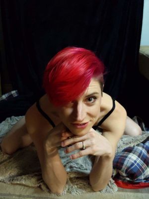 LittleAnl4lDolly Picture