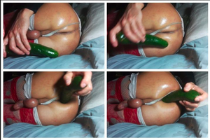 perra adicta a los picos y leche