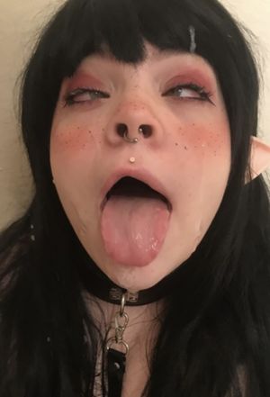 What a stupid dumb pig