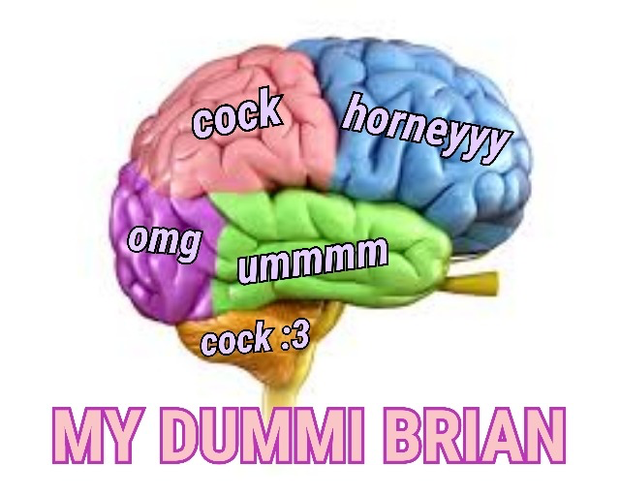 Meme