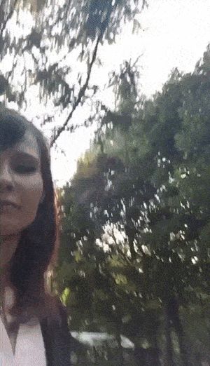 Masters pet must always be on show