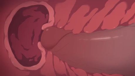 Sexy fantasy cartoon