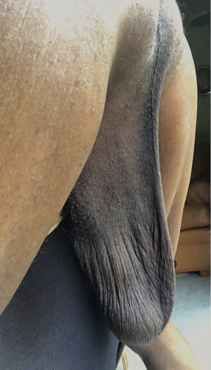 Big, black and unpumped balls for ya