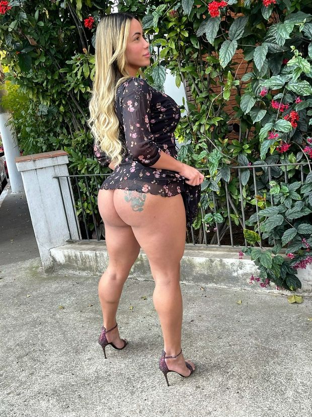 Shemale Stallion