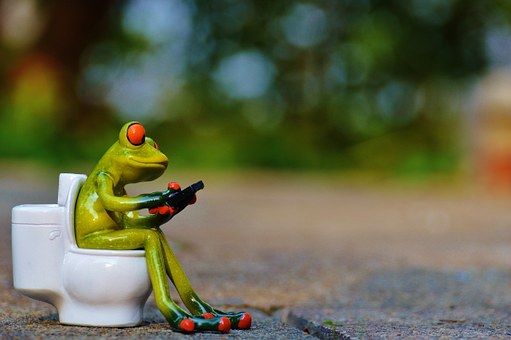 peeing in public frog toilet
