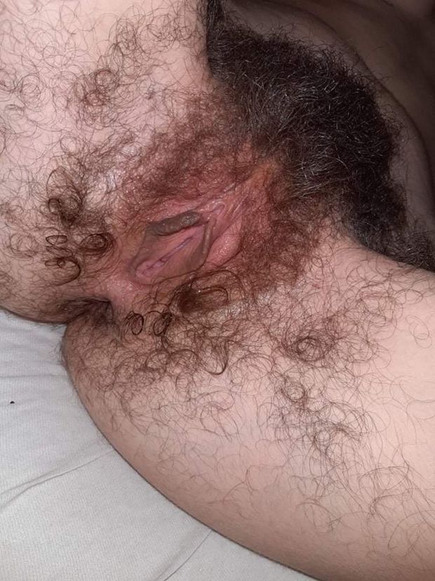 Hairy clam
