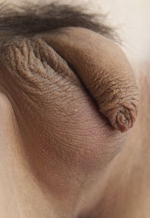 so cute, I want to take it home with me