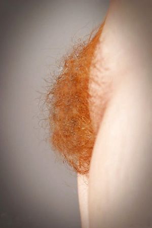 Redhair Pubichair Pussy