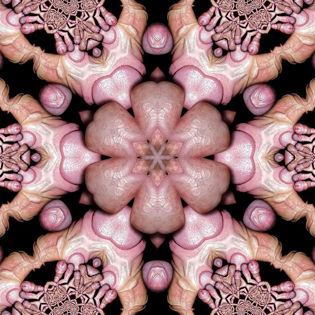 Penis art
