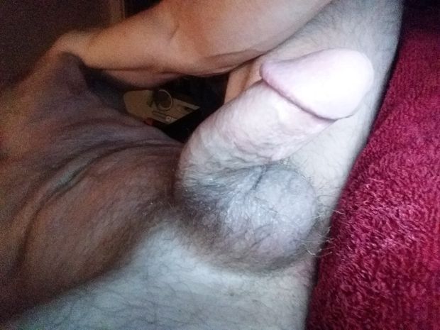 amateur cock
