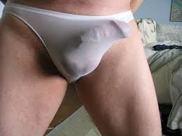 Meaty cock in panties