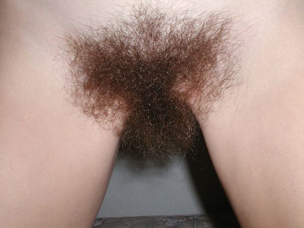 very hairy pussy