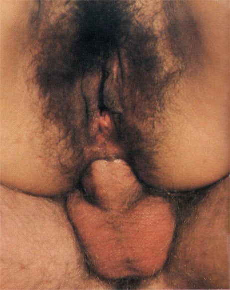 very hairy pussy