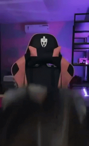 G a m e r