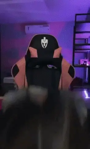 G a m e r