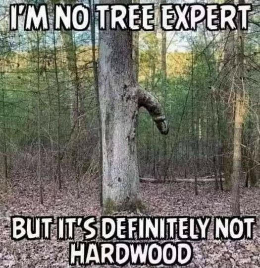 Definitely not hardwood