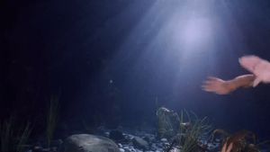 Baywatch. Swimming along.