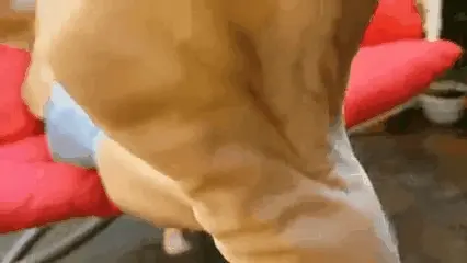 Wrinkled soles
