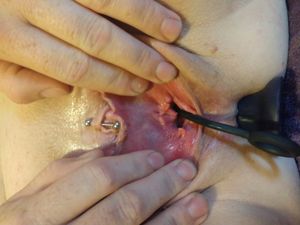 Love my remote egg with butt plug