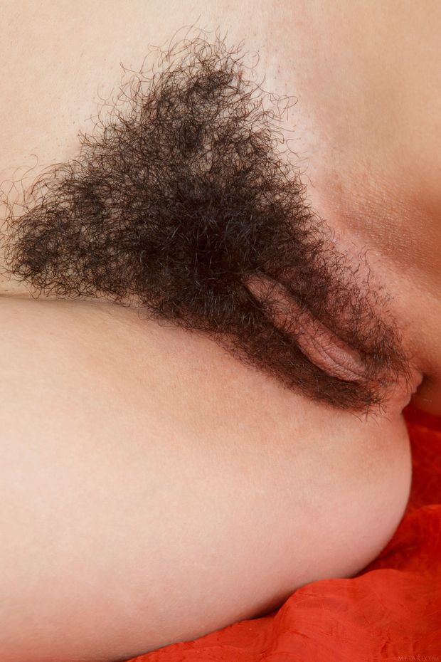 smell that bush