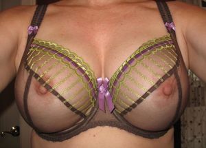 sheer bra
