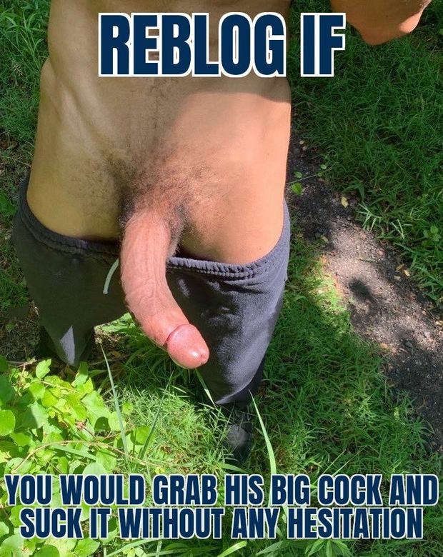 Reblog If