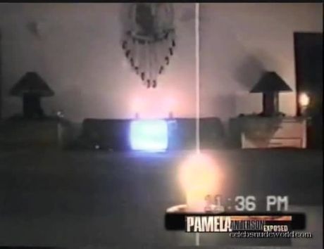 Pamela Anderson/Bret Michaels, 1994. (1st of Pam's 2 sex tape appearances.) Full version.