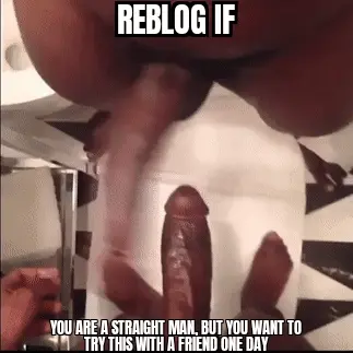 Reblog If