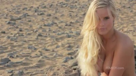 ☆ Miella, Terry Fine, Mora Mia, Queen Mary, Miela, Lena, Mary, Mary Queen, Miela A., Miro, Kimmy, Makenzie