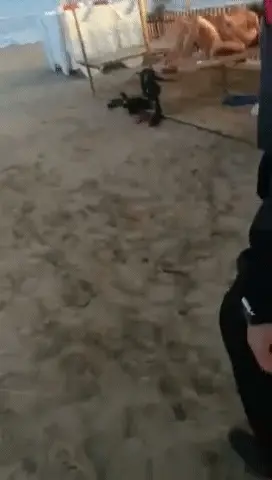 Sex on a public beach