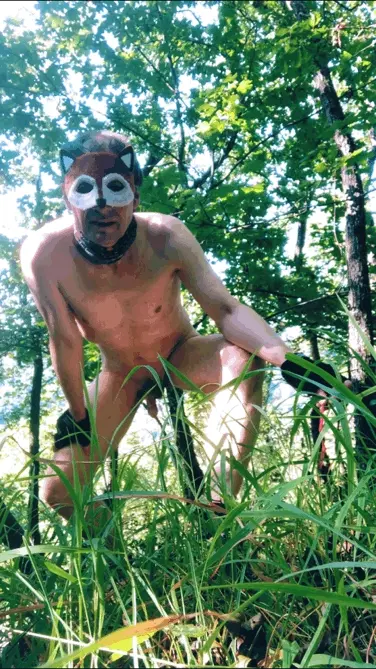 Jungle