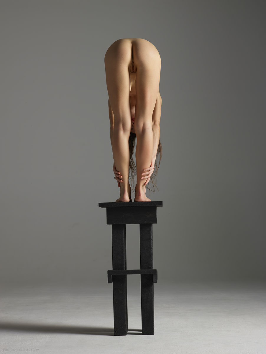exposition (back)