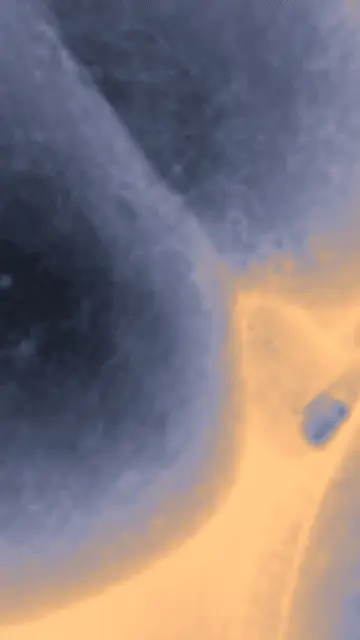 Gay sex